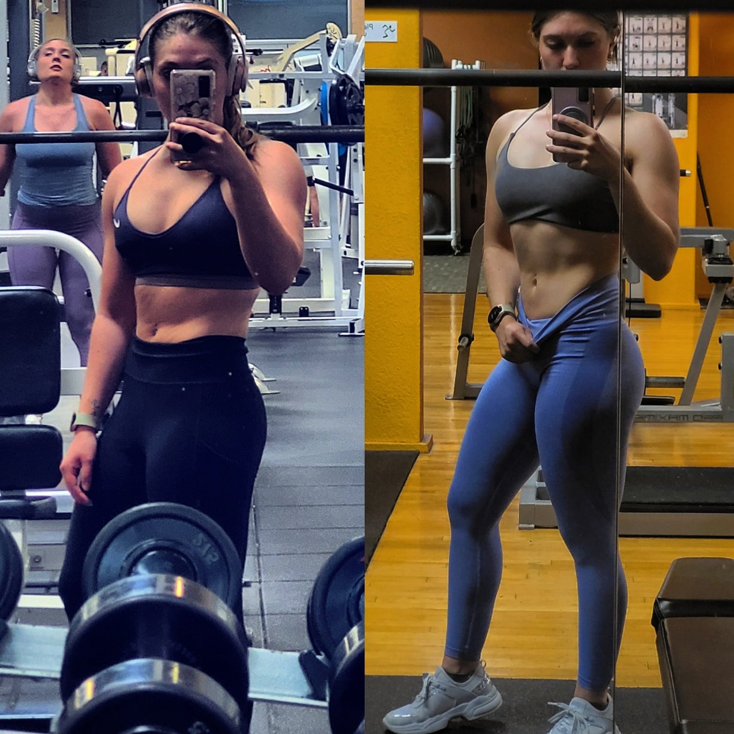 Gains in the GYM Plan