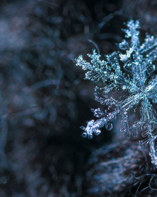 Layer Up in the Cold!